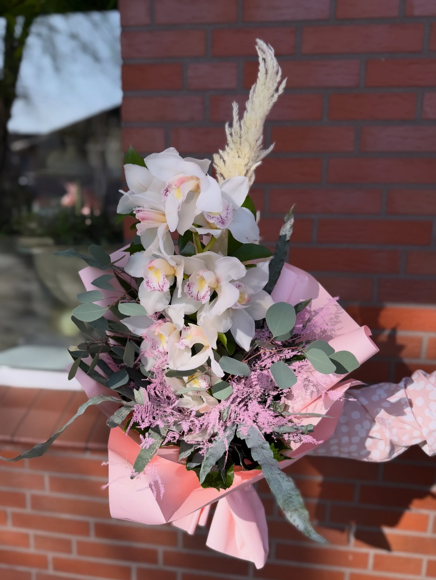 648108561_18044001359726265_2228815232576319364_n