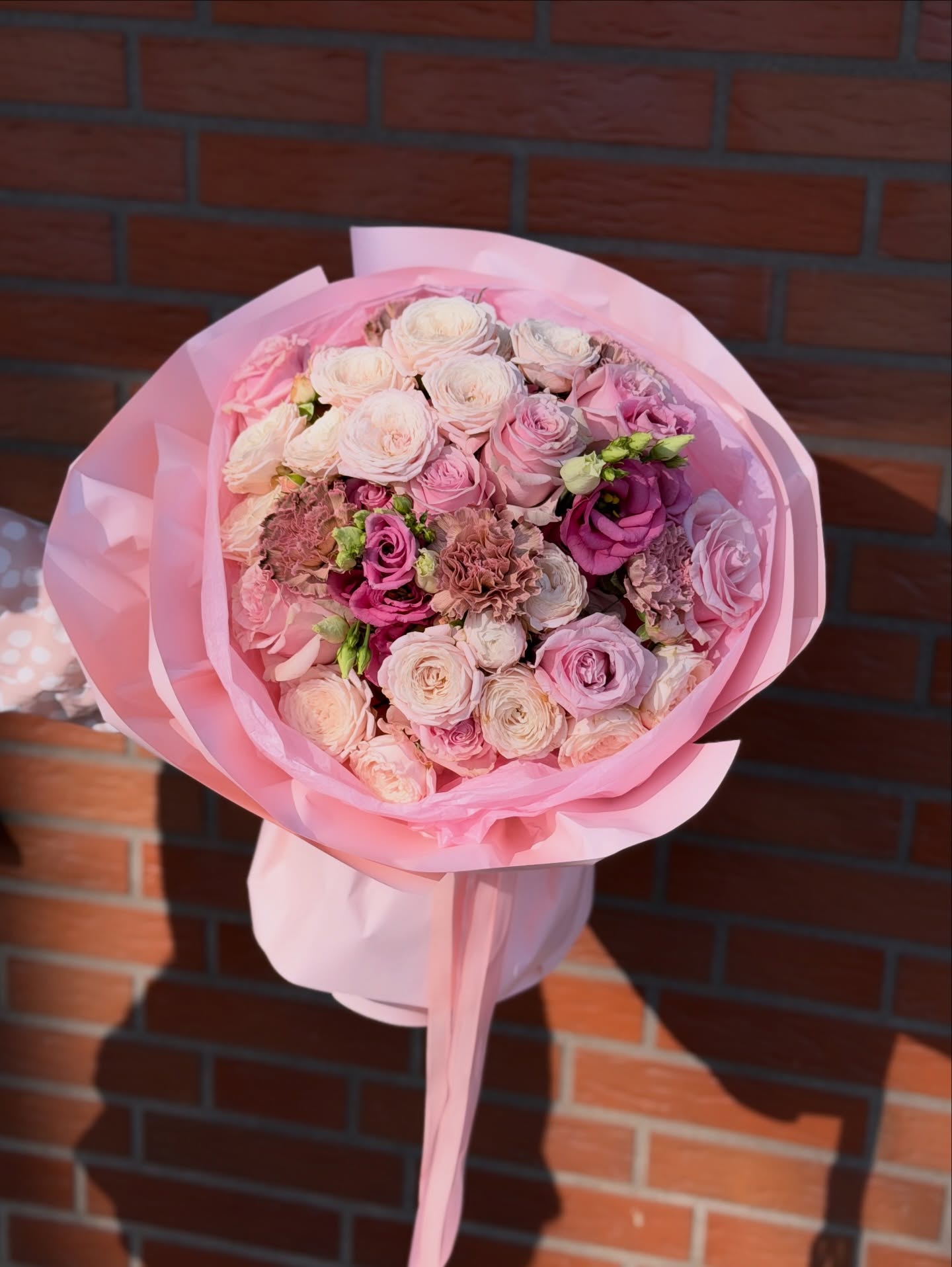 648737002_18044001425726265_3224306867275486956_n