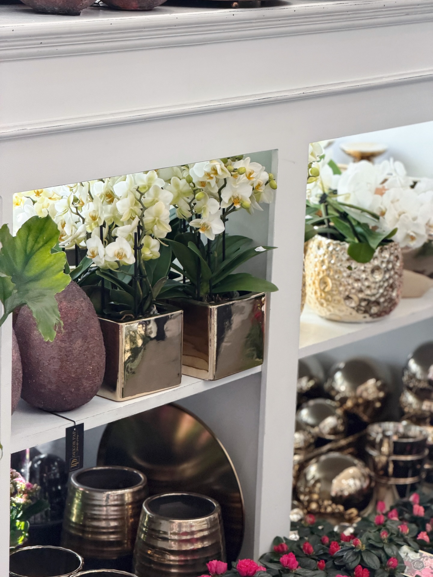 650255027_18044867564726265_4173073857667003438_n