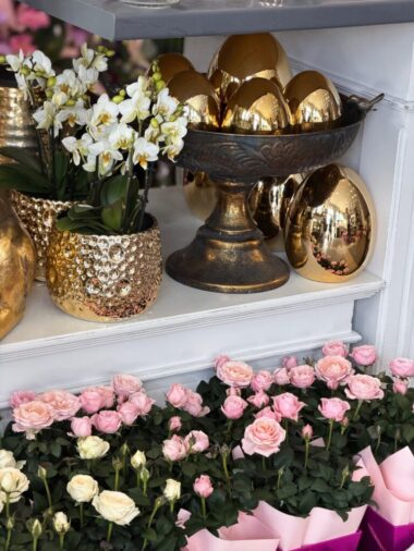 651317237_18044867516726265_5024300840640970058_n