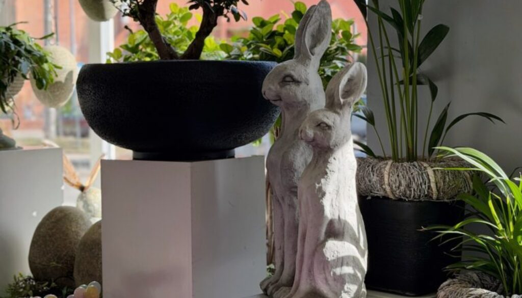 651910381_18044867519726265_2832466063505117420_n