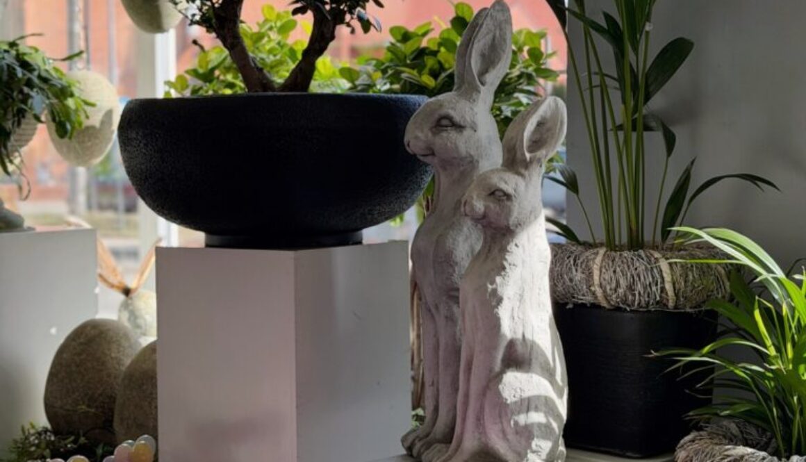 651910381_18044867519726265_2832466063505117420_n