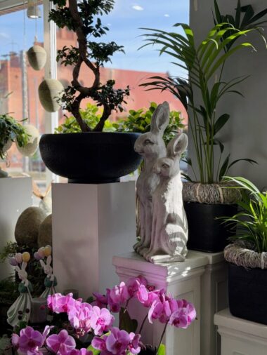 651910381_18044867519726265_2832466063505117420_n